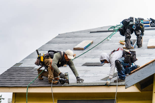 Professional Roofing technician working in Springville, NY